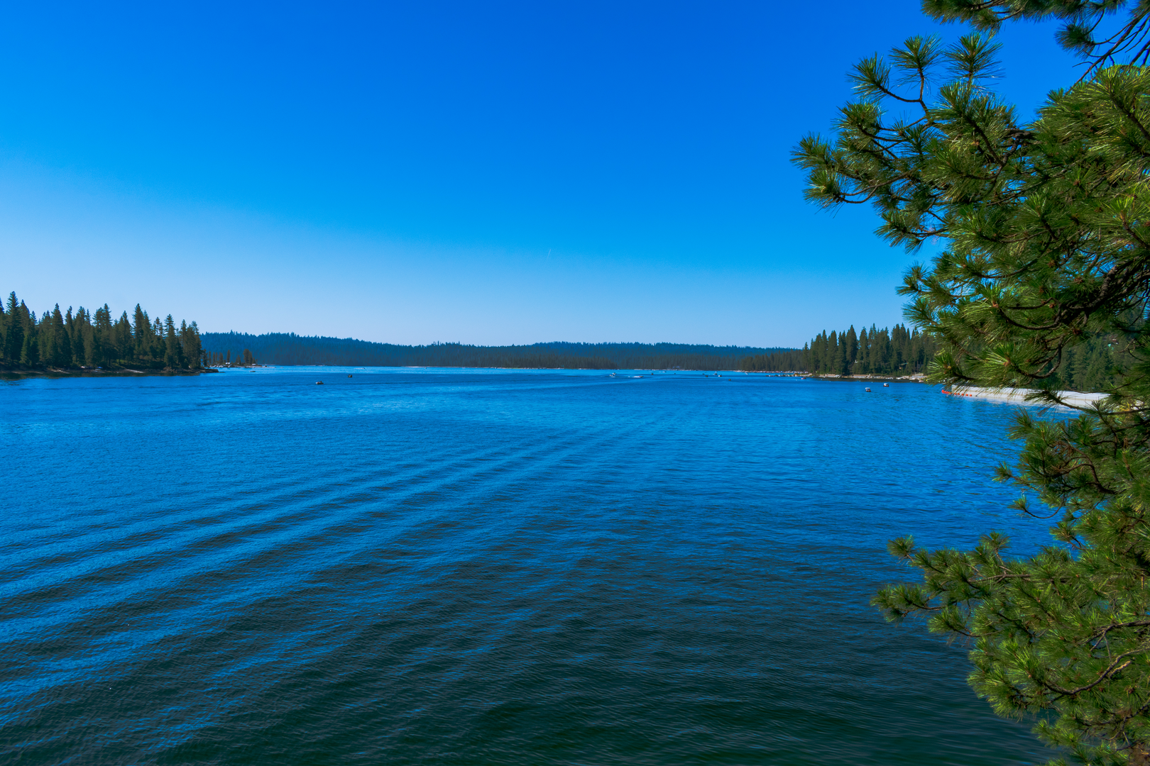 An image depicting the trail Shaver Lake North Shore Loop and its surrounding area.