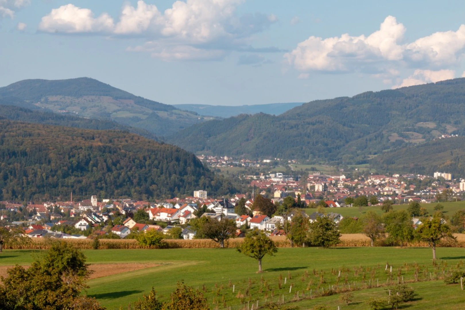 An image depicting the trail Hotzenwald Querweg and its surrounding area.