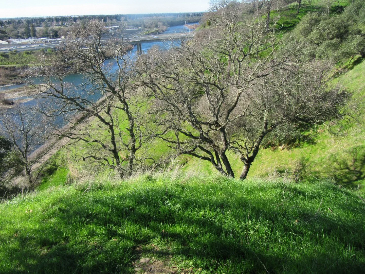 An image depicting the trail American River Trail from Fair Oaks Bridge and its surrounding area.