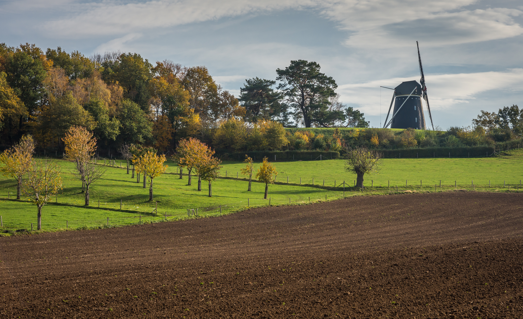 An image depicting the trail Postelse heide, Bergeyksche Stukken and Venakkerbosch Loop and its surrounding area.