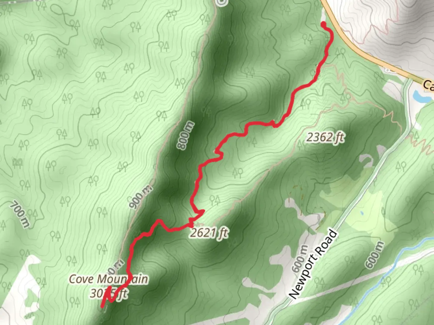 An image depicting the trail Cove Mountain via Dragons Tooth Trailhead and its surrounding area.