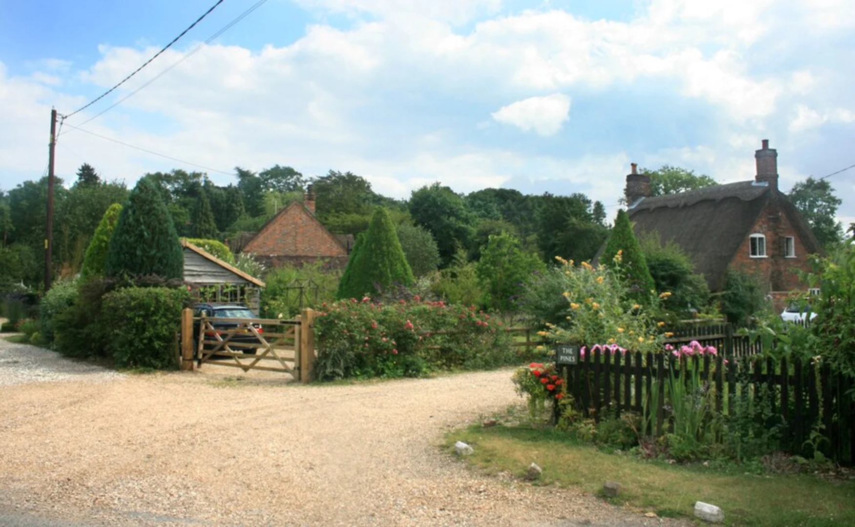 An image depicting the trail Ashampstead Common and Burnthill Common via Pillow Path and its surrounding area.