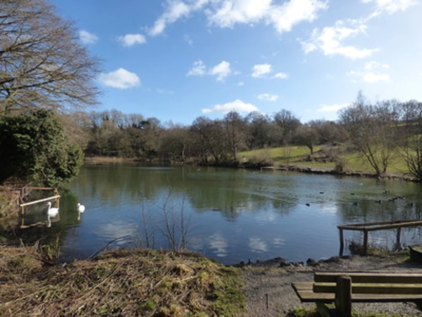 An image depicting the trail The Leasowes Local Nature Reserve Black Country Geosite Loop and its surrounding area.