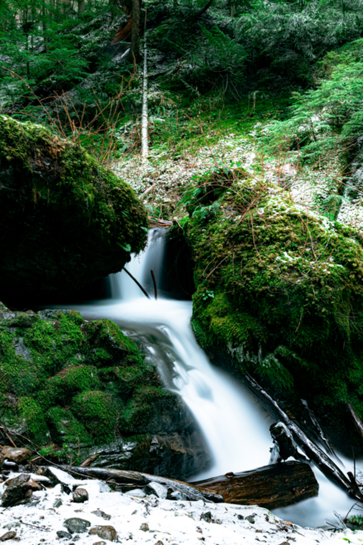 An image depicting the trail Goat Falls Trail and its surrounding area.