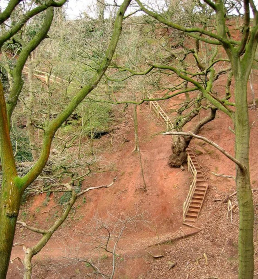An image depicting the trail High Rock Forest Loop and its surrounding area.
