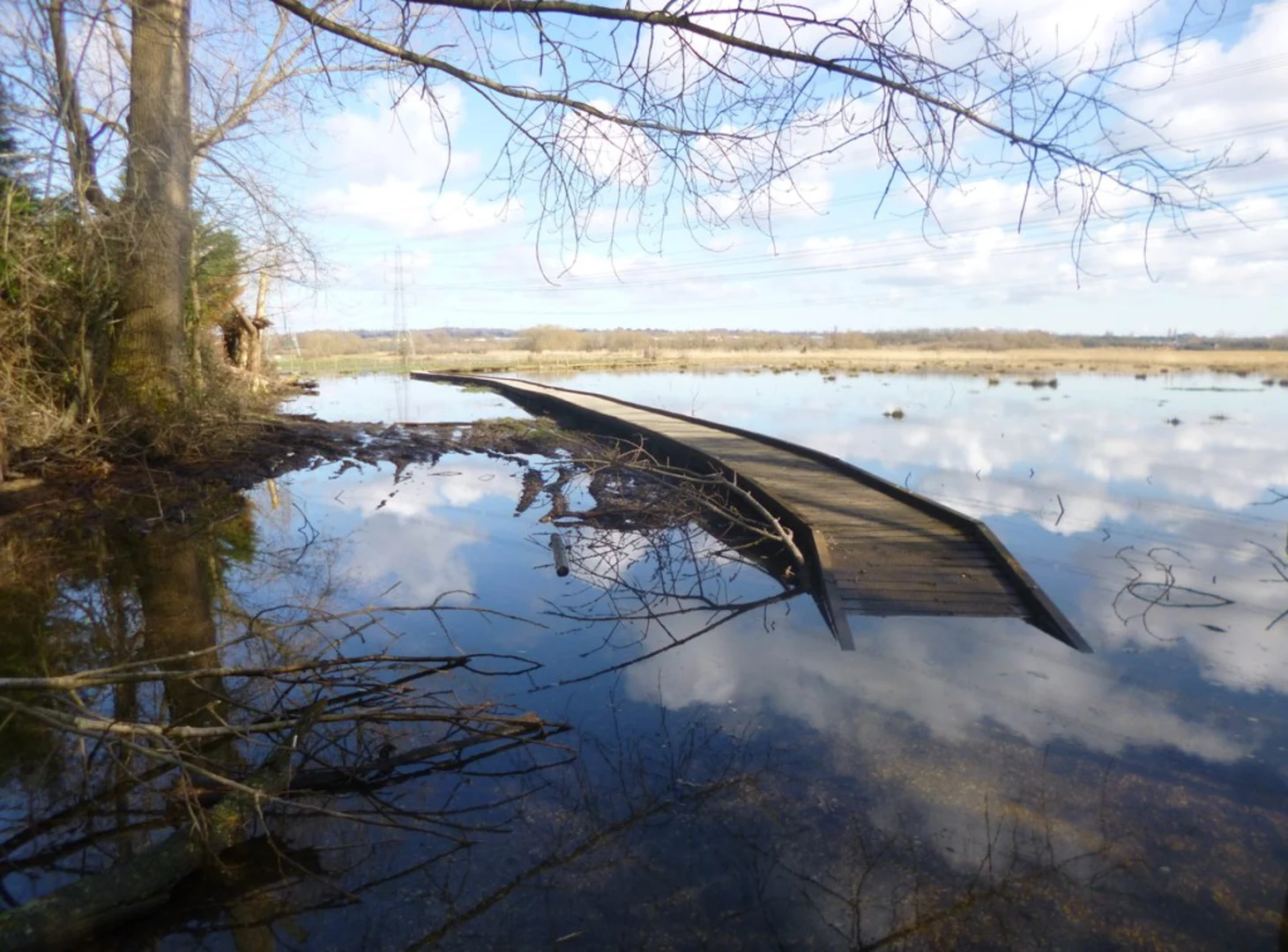 An image depicting the trail Testwood Lake and Ruddy Mead via Test Way and its surrounding area.