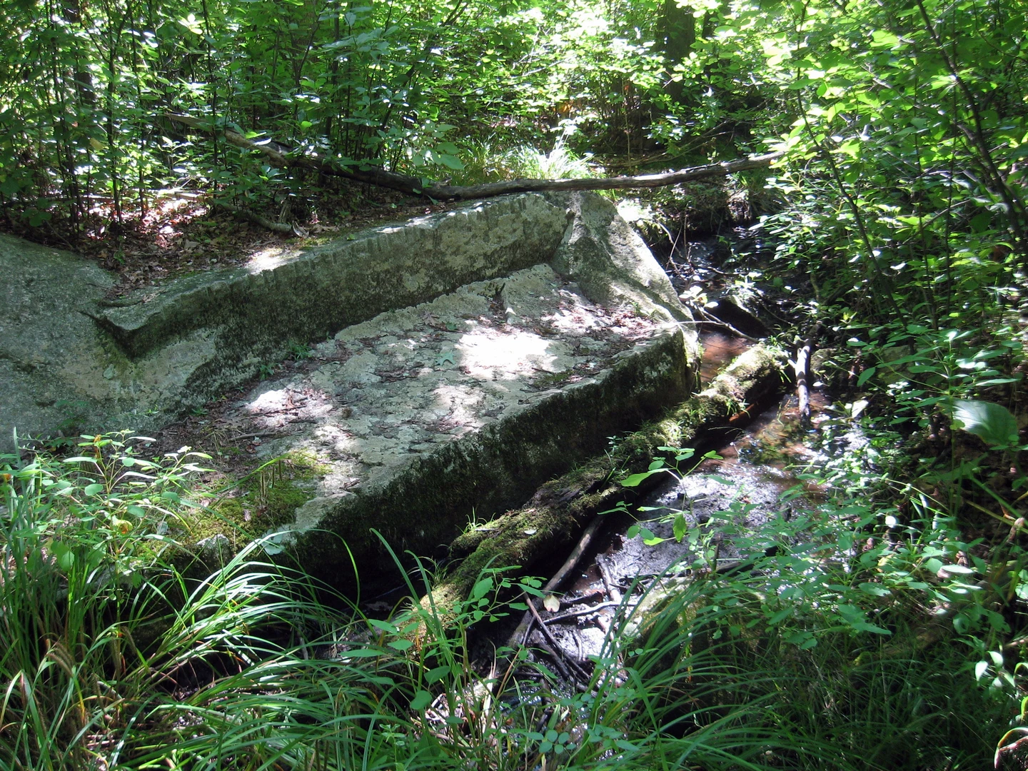 An image depicting the trail Lady Bug Trail and its surrounding area.