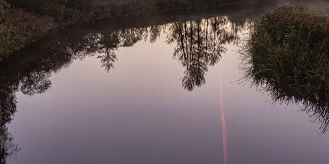 An image depicting the trail Newcastle Wood River Inny Walk and its surrounding area.