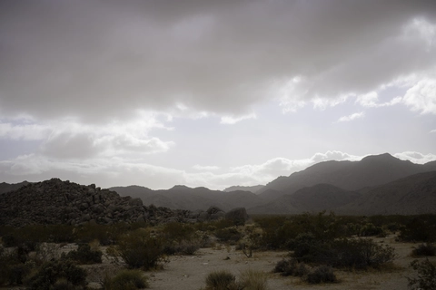An image depicting the trail Contact Mine Trail and its surrounding area.