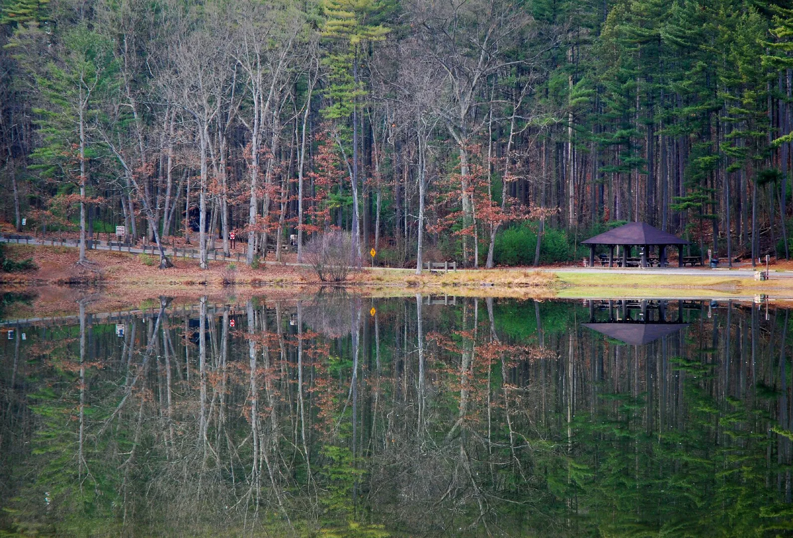 An image depicting the trail Whipple Lake Loop via Ruby Ridge Trail and its surrounding area.