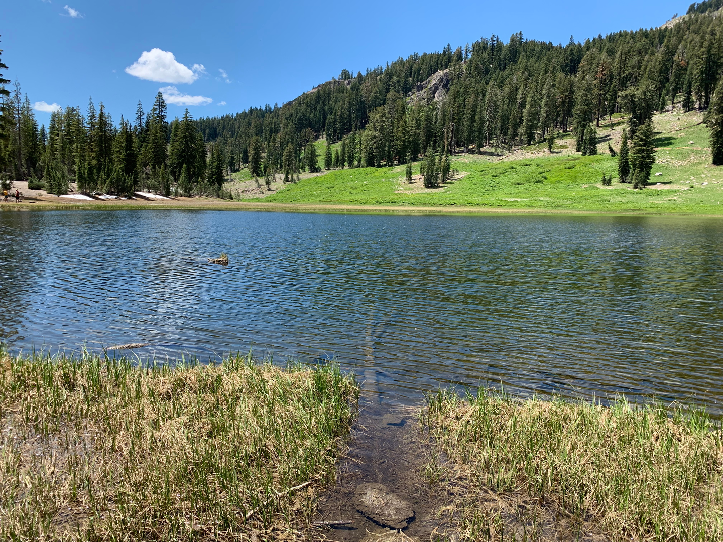 An image depicting the trail Cold Boiling Lake and Twin Meadows Trail and its surrounding area.