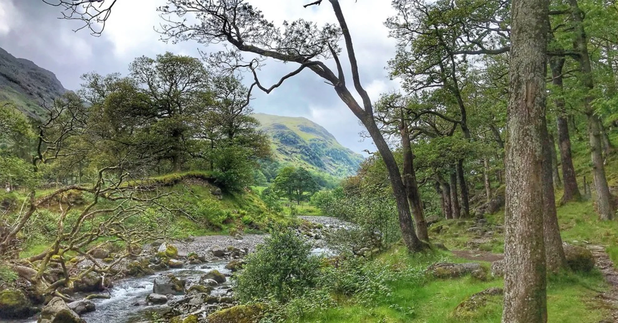 An image depicting the trail Borrowdale Loop and its surrounding area.