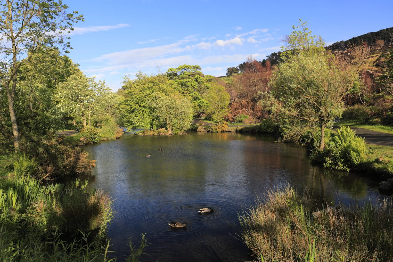 An image depicting the trail Wharfedale Washburn Challenge Loop Walk and its surrounding area.