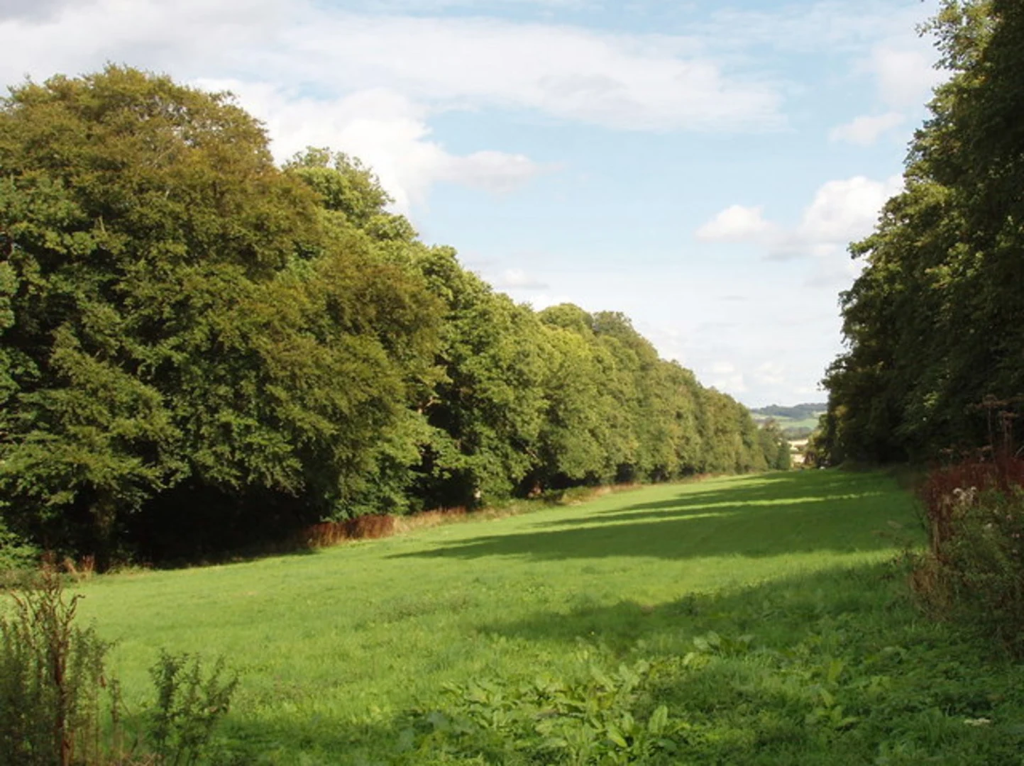 An image depicting the trail Great Hampden to Little Hampden Loop and its surrounding area.