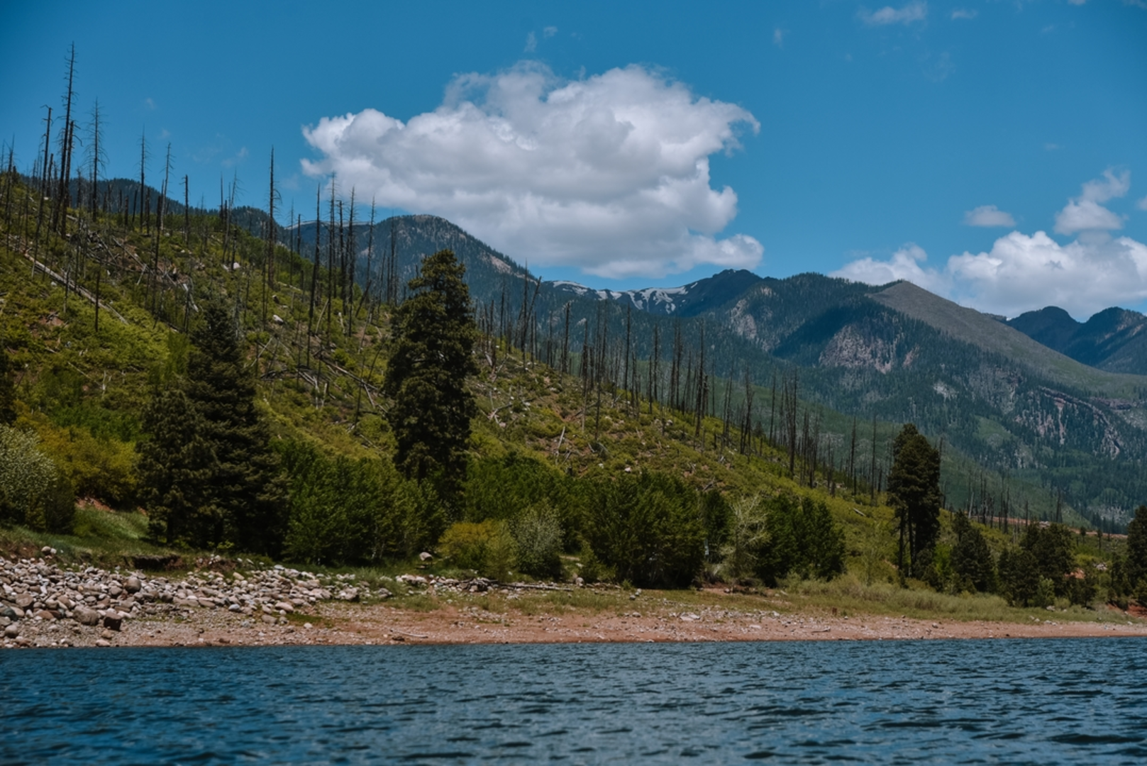 An image depicting the trail First Fork Trail and its surrounding area.