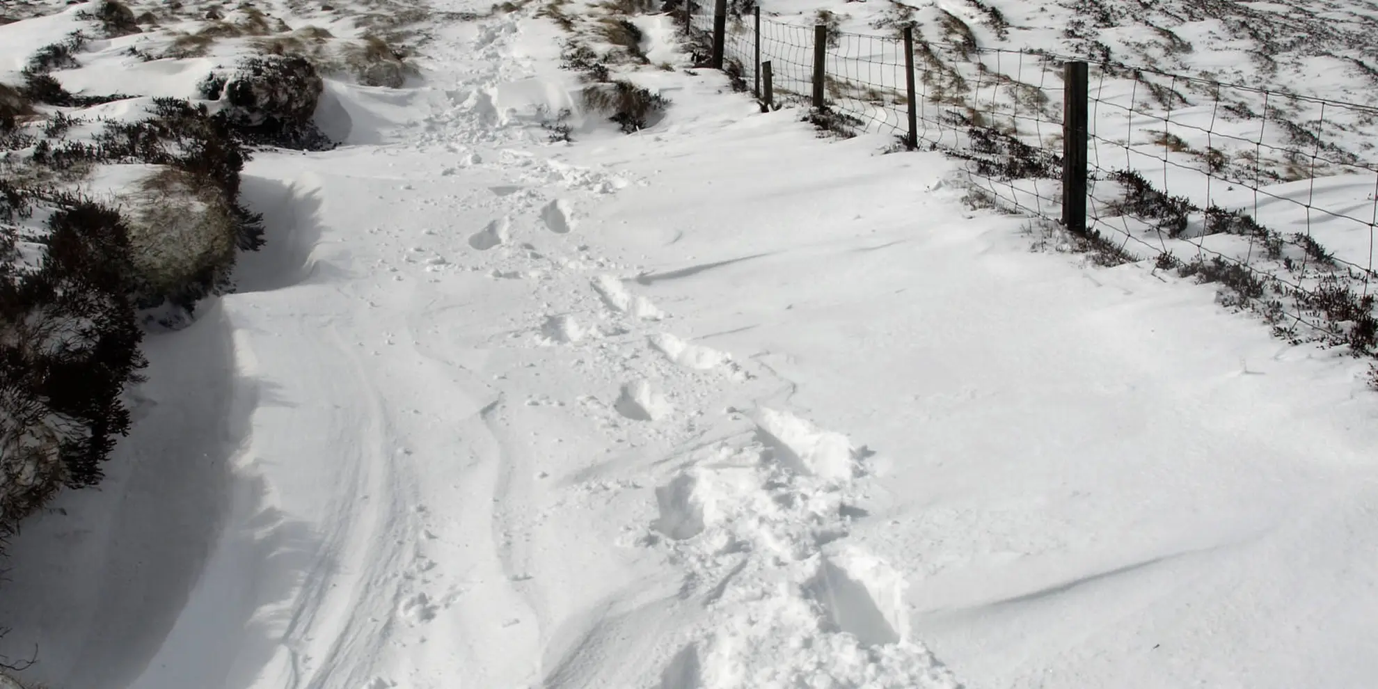 An image depicting the trail The Cheviot from College Valley and its surrounding area.