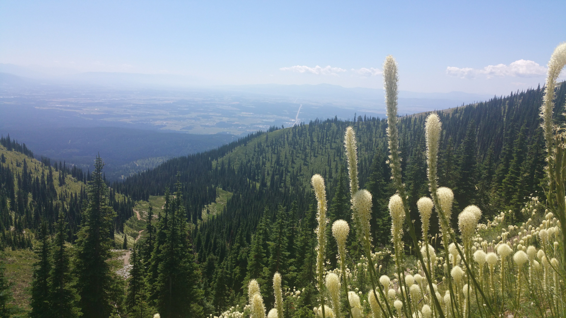 An image depicting the trail Danny On National Recreation Trail and its surrounding area.
