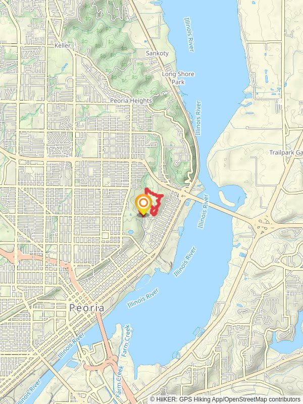 Springdale Savanna and Springdale Cemetery Loop