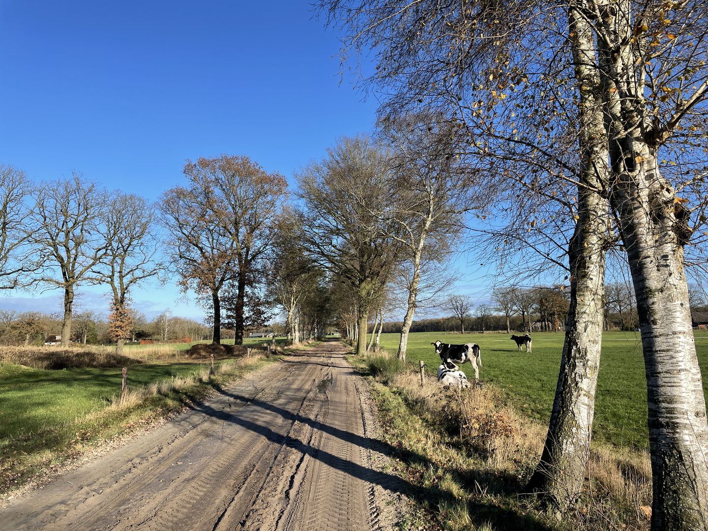 An image depicting the trail Remmersbos and Helhuizen Loop and its surrounding area.