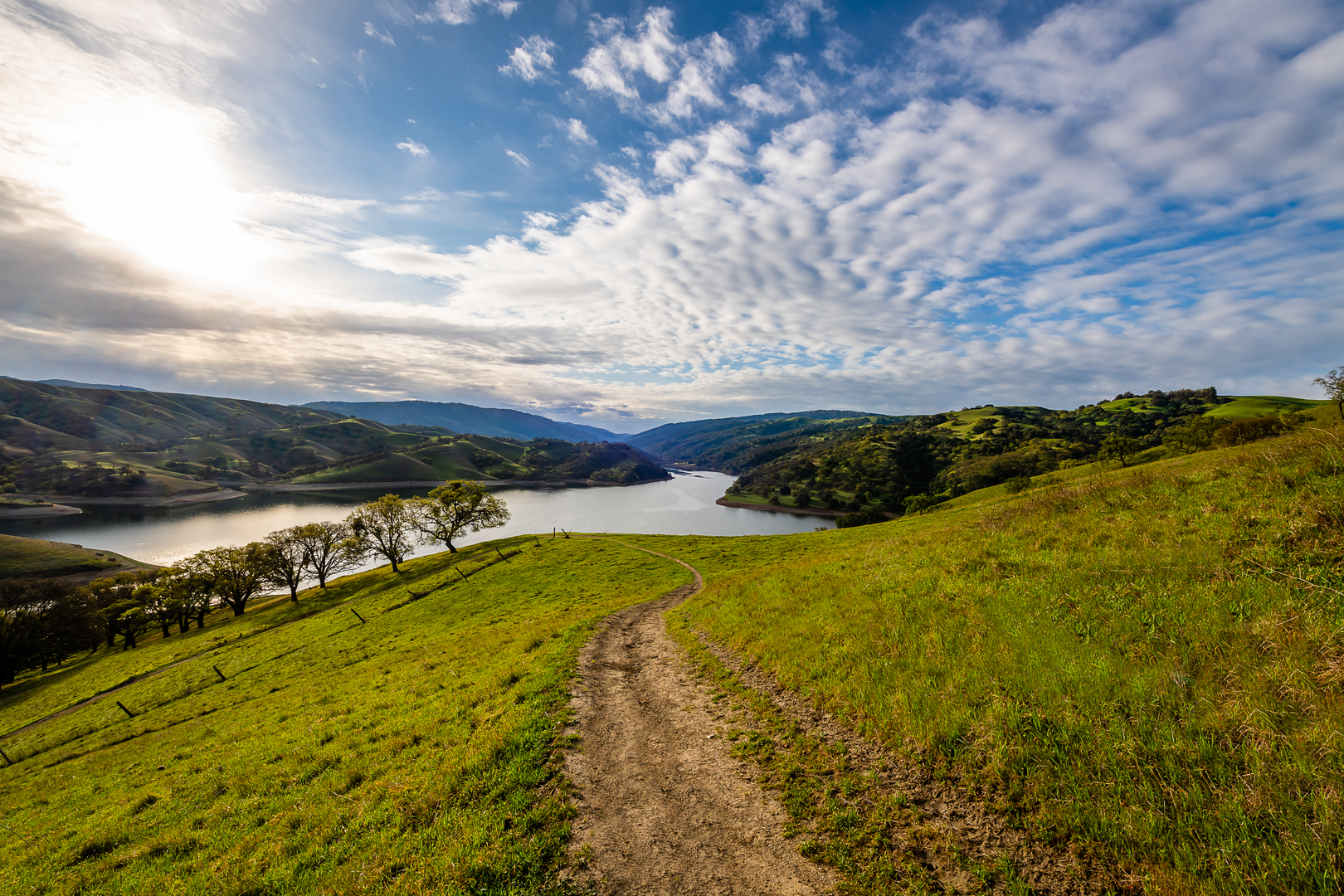 An image depicting the trail East Shore Loop Trail - Lake Del Valle and its surrounding area.
