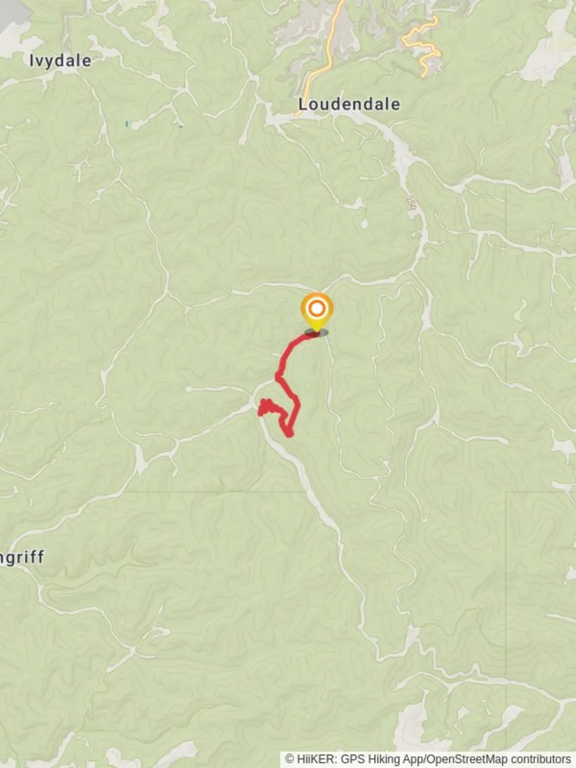 An image depicting the trail Davis Creek Trail and White Hollow Trail and its surrounding area.