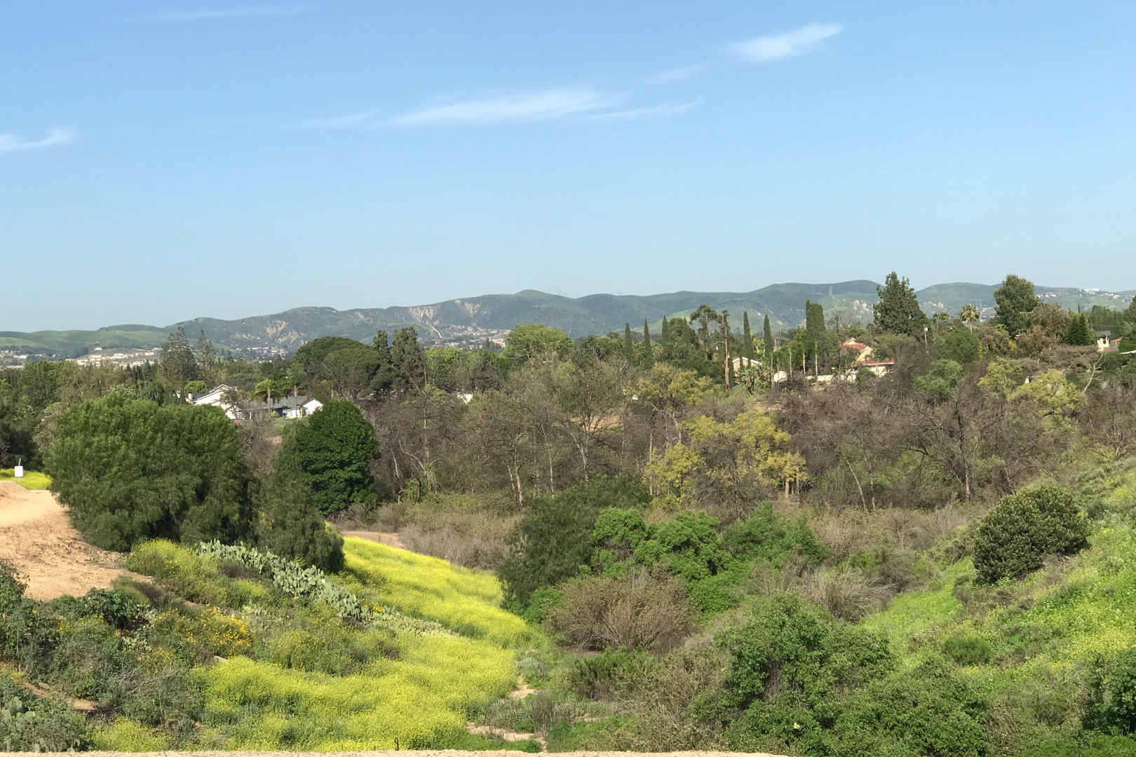 An image depicting the trail Yorba Linda Lakebed Park Loop and its surrounding area.