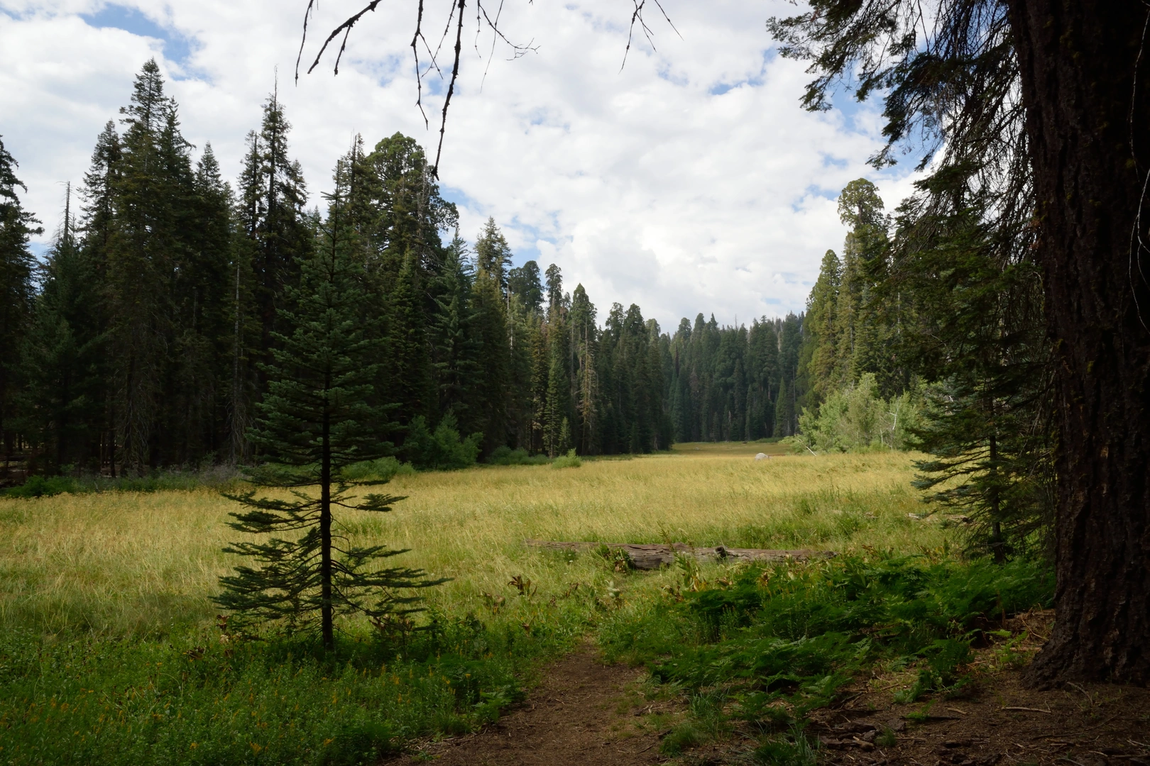 An image depicting the trail High Sierra Trail Out and Back and its surrounding area.