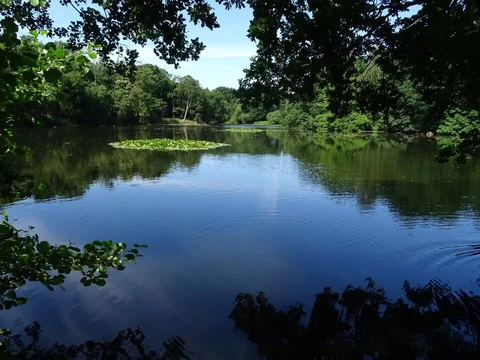 Bretton Country Park Circular