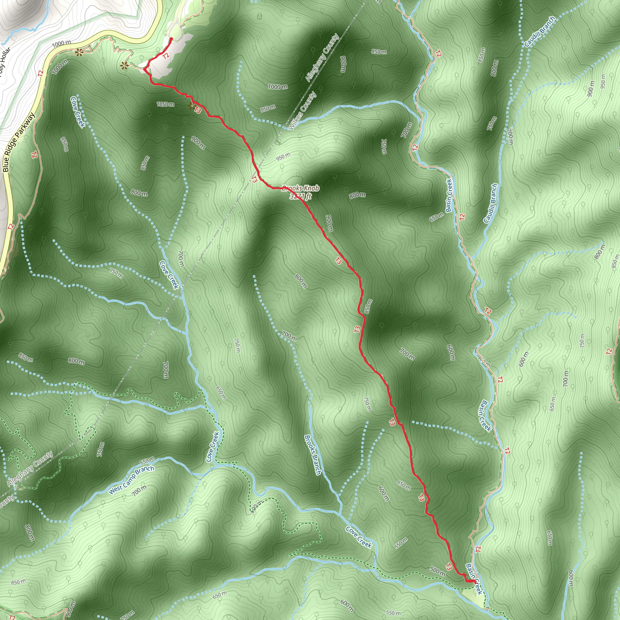 Bluff Mountain and Brooks Knob via Bluff Ridge Primative Trail mobile static map