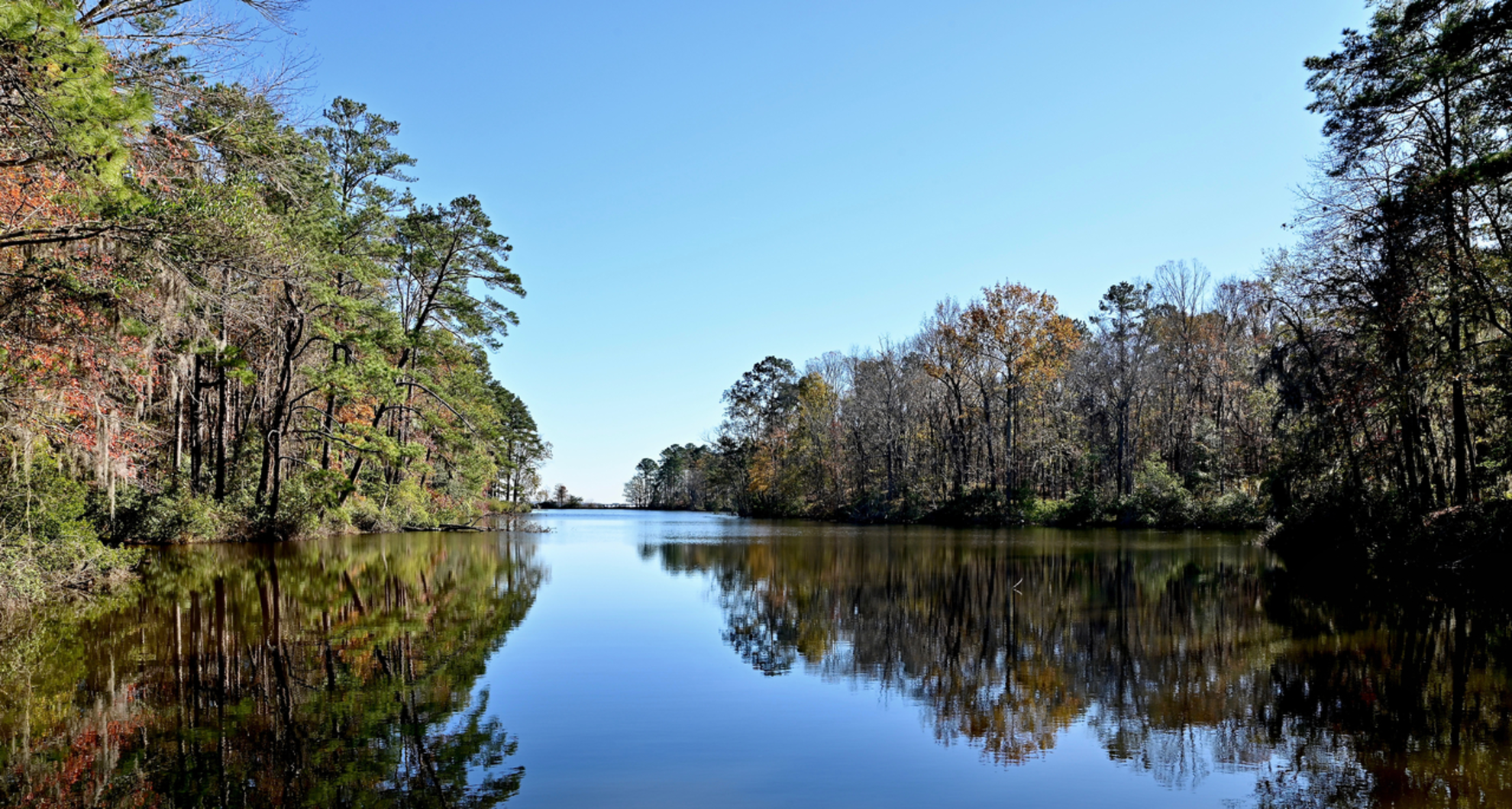 An image depicting the trail Santee State Park Loop Trail and its surrounding area.