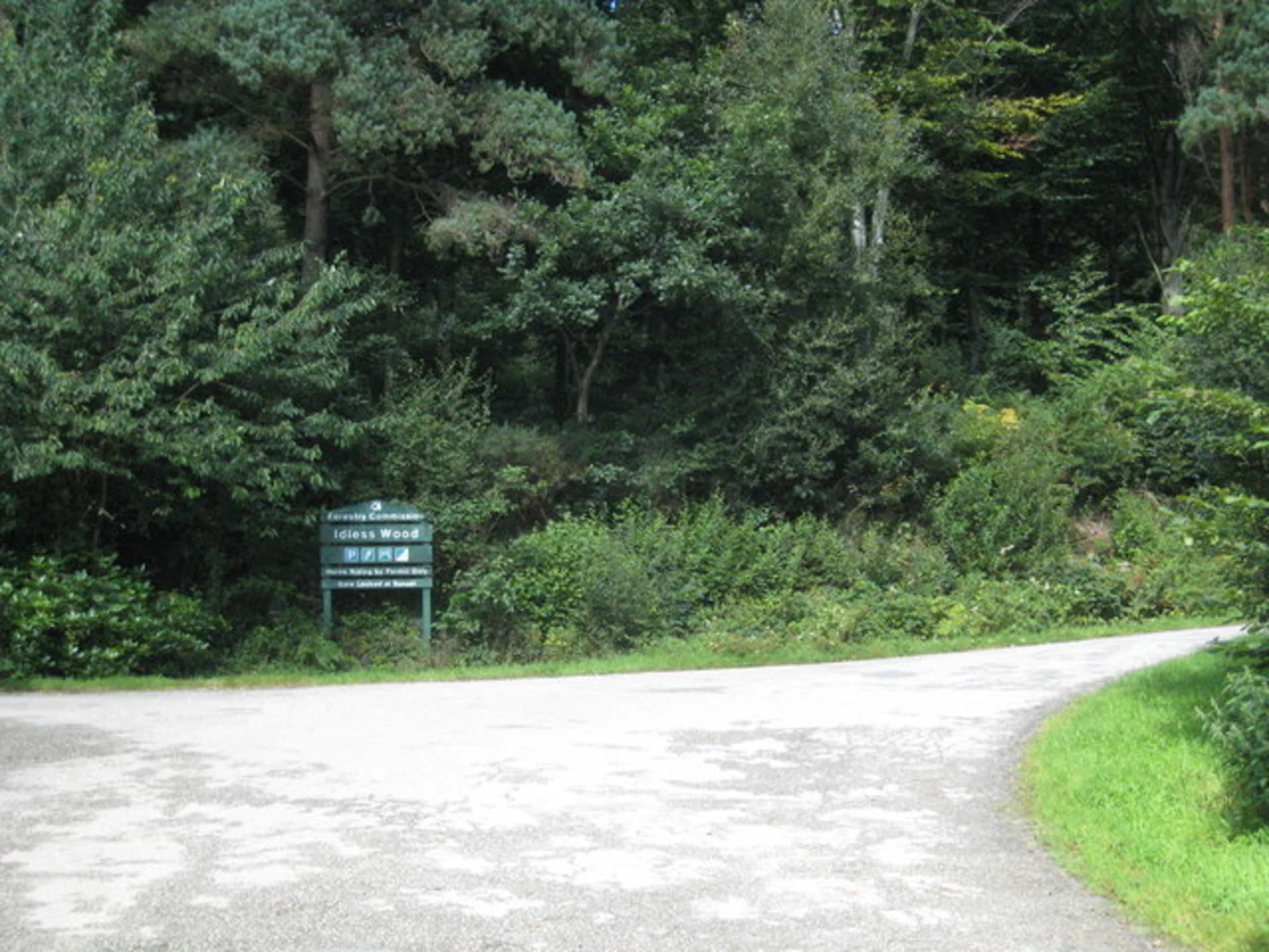 An image depicting the trail Idless Woods Loop and its surrounding area.