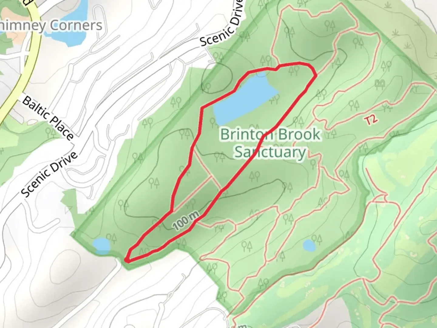An image depicting the trail Brinton Brook Sanctuary - Pond Loop and its surrounding area.