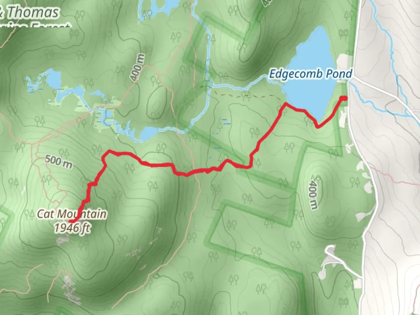 An image depicting the trail Cat Mountain Red Trail and its surrounding area.