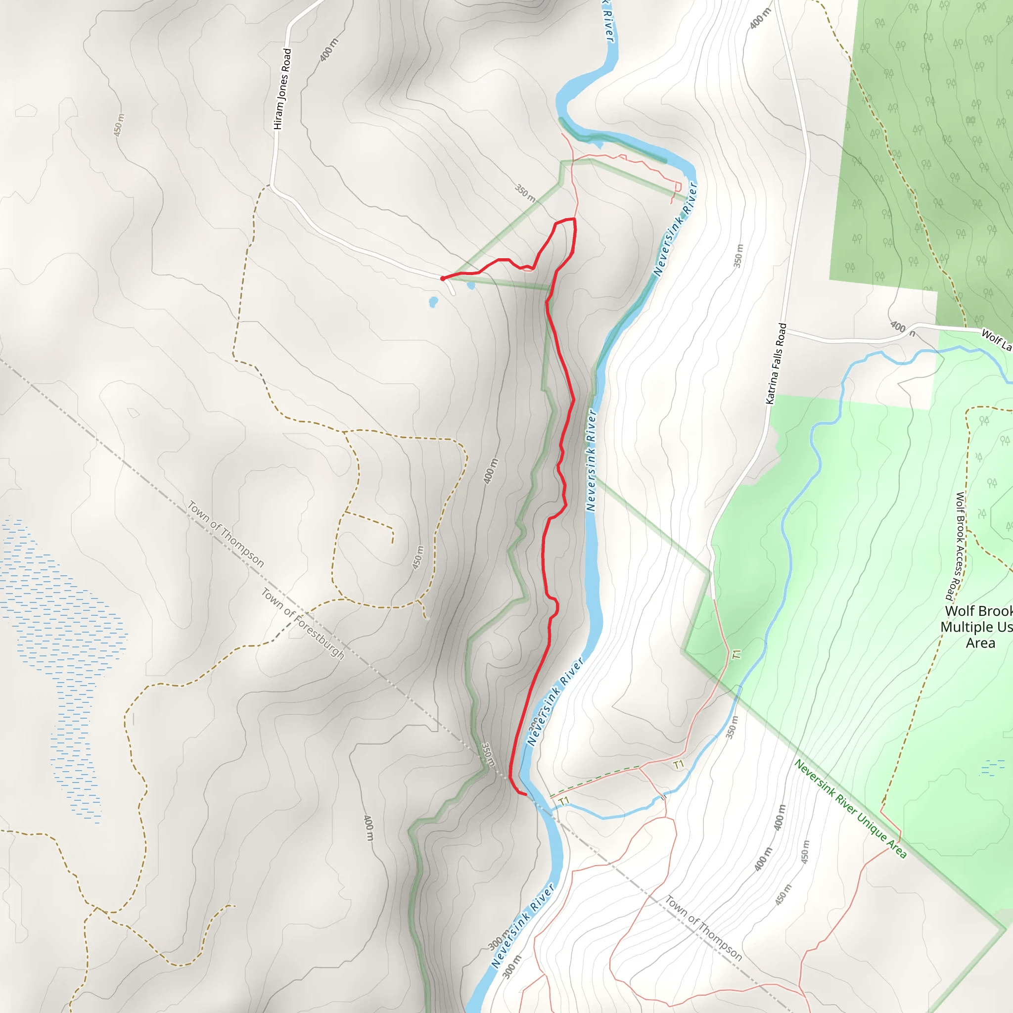 Neversink River from Hiram Jones Road mobile static map