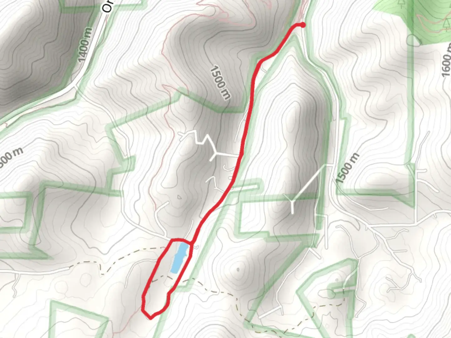 An image depicting the trail Cox Lake Loop and its surrounding area.
