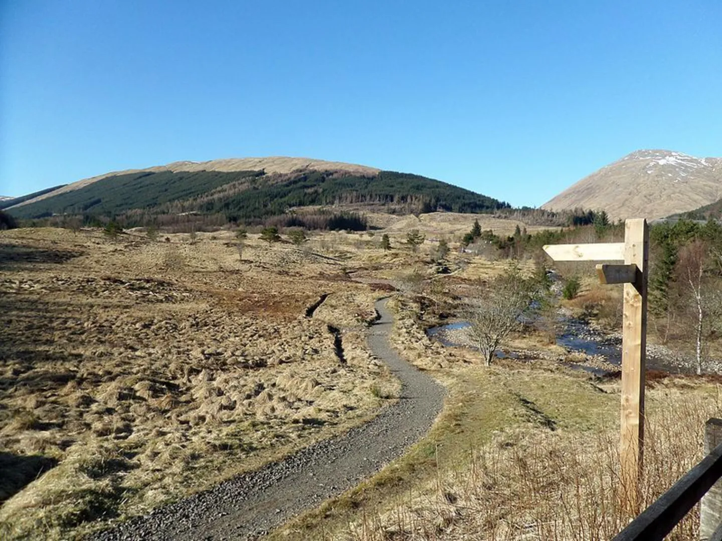 An image depicting the trail Glen Cononish Loop and its surrounding area.
