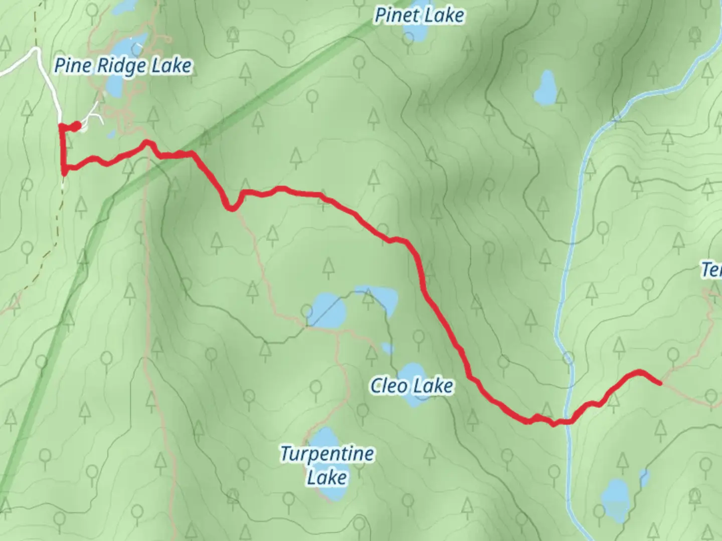 An image depicting the trail Pine Ridge Trail from Camp Pioneer and its surrounding area.