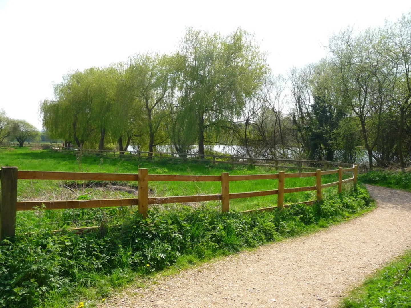 An image depicting the trail Knights Enham Loop via Peril Lake and its surrounding area.