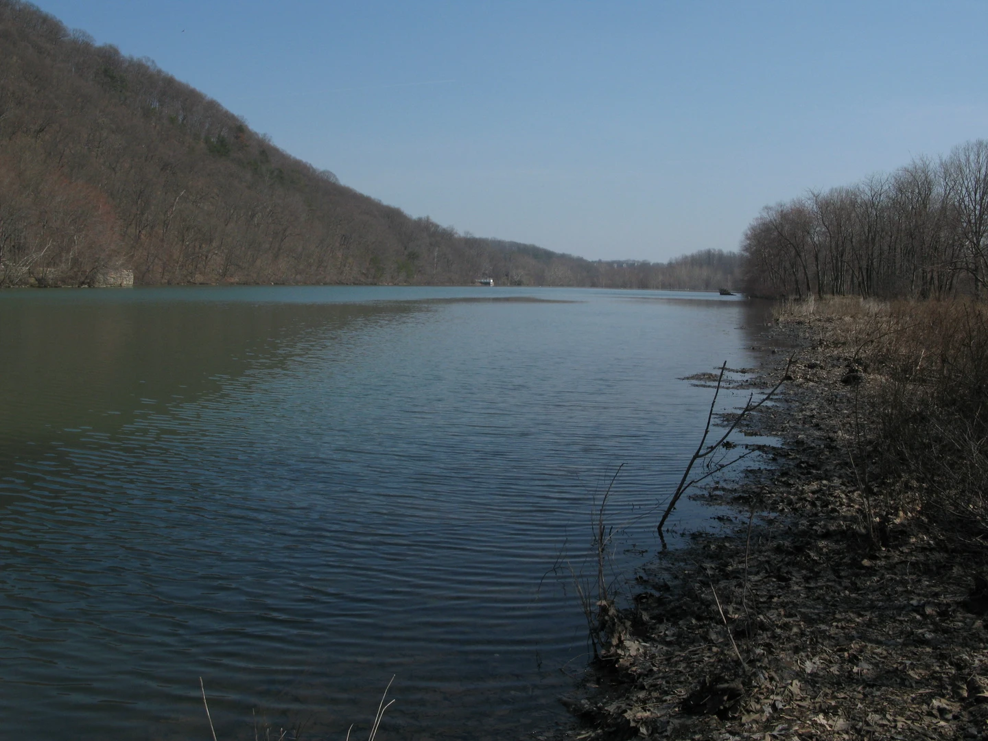 An image depicting the trail Schuylkill River Trail and its surrounding area.