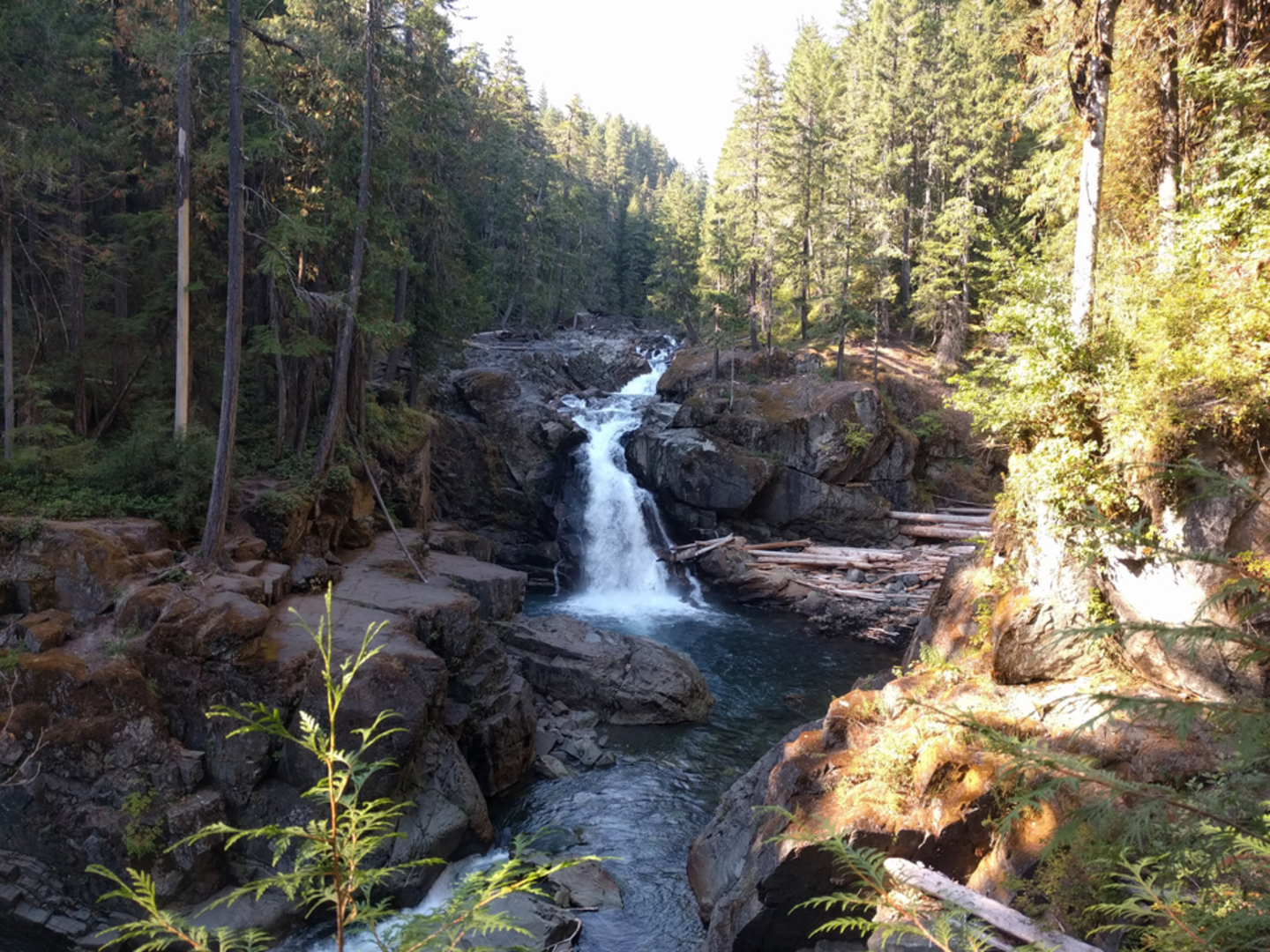 An image depicting the trail Silver Falls Trail and its surrounding area.