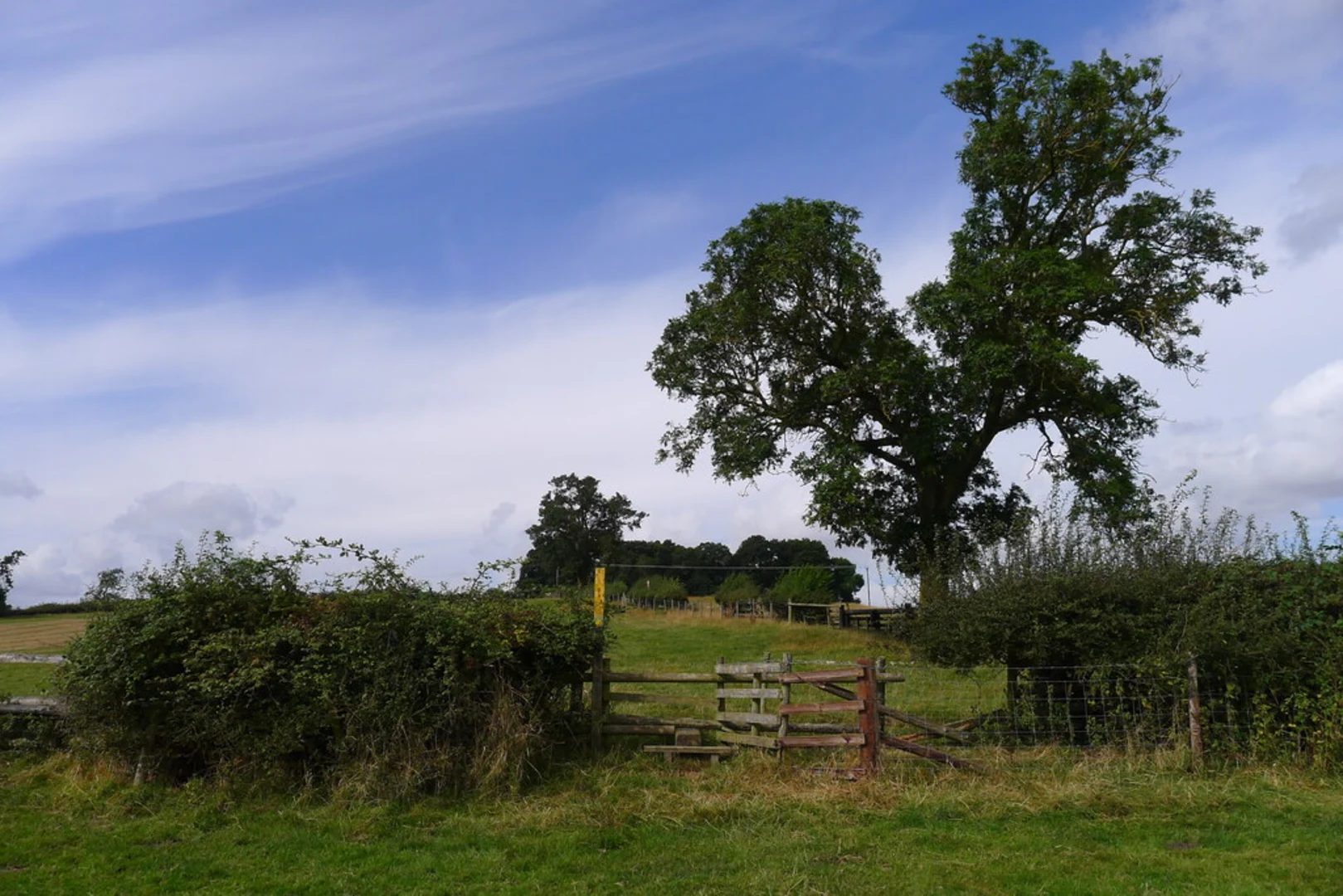 An image depicting the trail Kibworth Beauchamp Country Park Loop and its surrounding area.