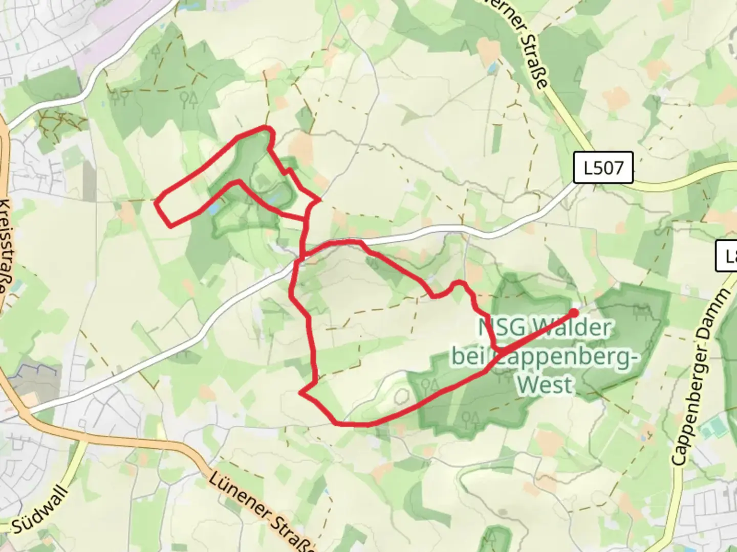 An image depicting the trail NSG Netteberge Loop and its surrounding area.