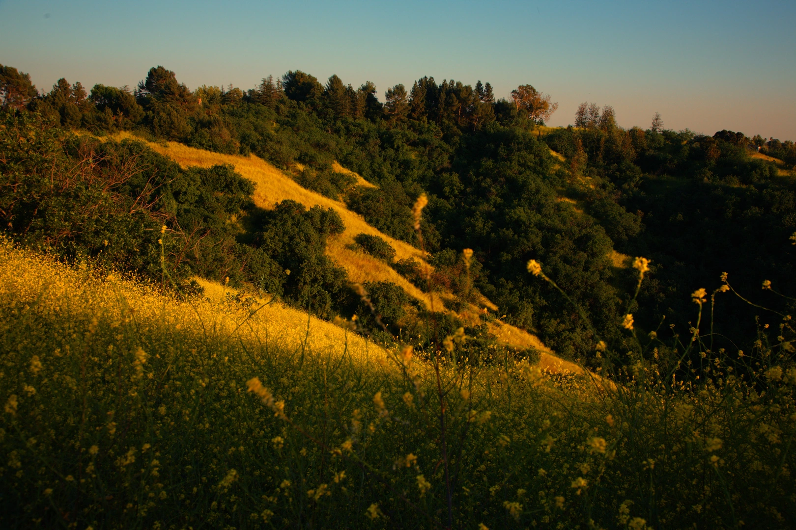 An image depicting the trail Debs Lake Loop via Seco View Trail and its surrounding area.