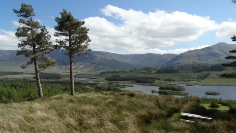 An image depicting the trail Ben Gorm Mountains Loop and its surrounding area.