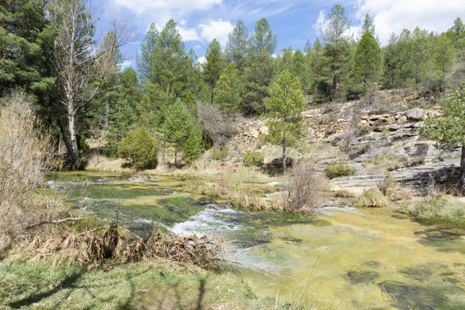 An image depicting the trail Paths around Ojos del Cabriel and Molino SL TE 14 and its surrounding area.
