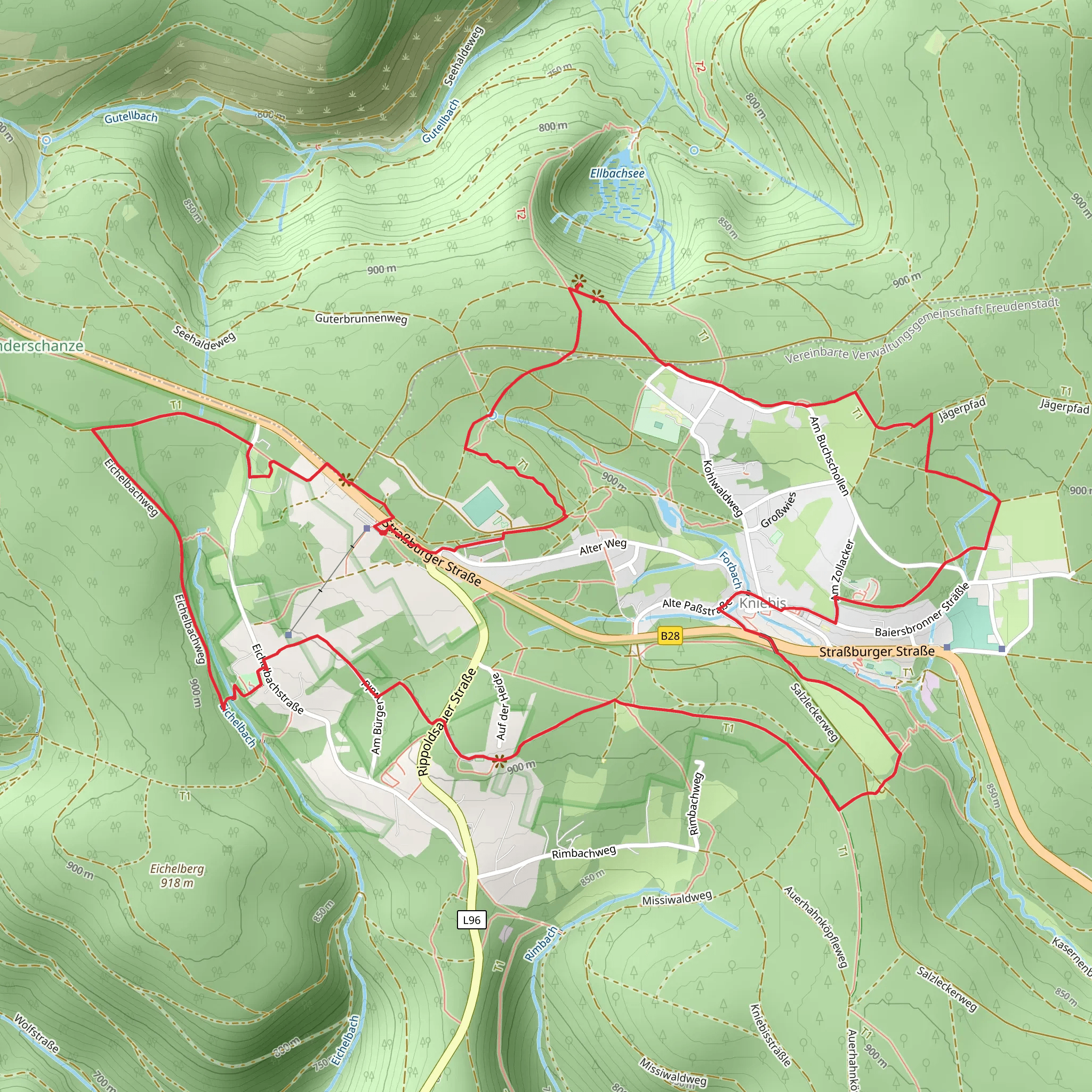 Ellbachseeblick via Grenzweg and Seensteig mobile static map