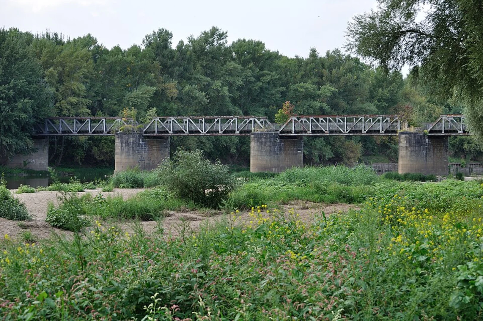 An image depicting the trail Kemlitz to Altsorgefeld Loop and its surrounding area.