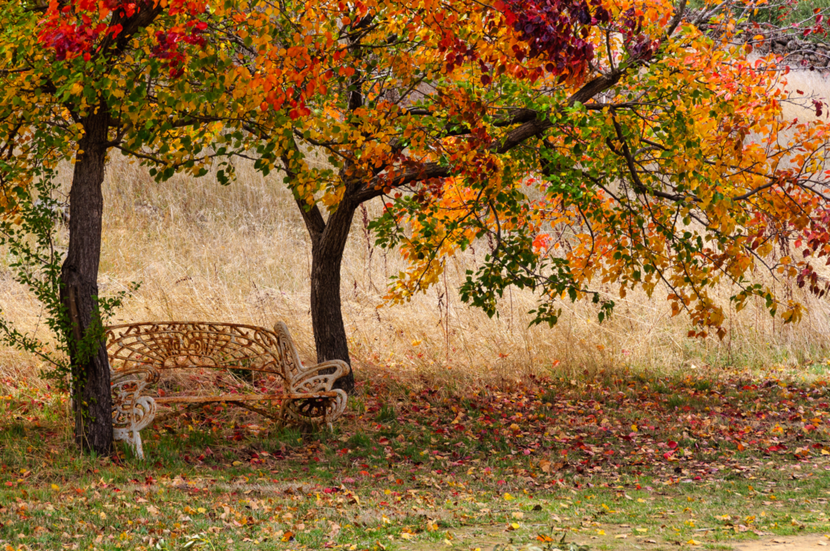 An image depicting the trail Blowhole to Shepherds Flat Trail and its surrounding area.