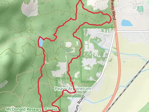 Forest Discovery and Calloway Creek Loop Trail