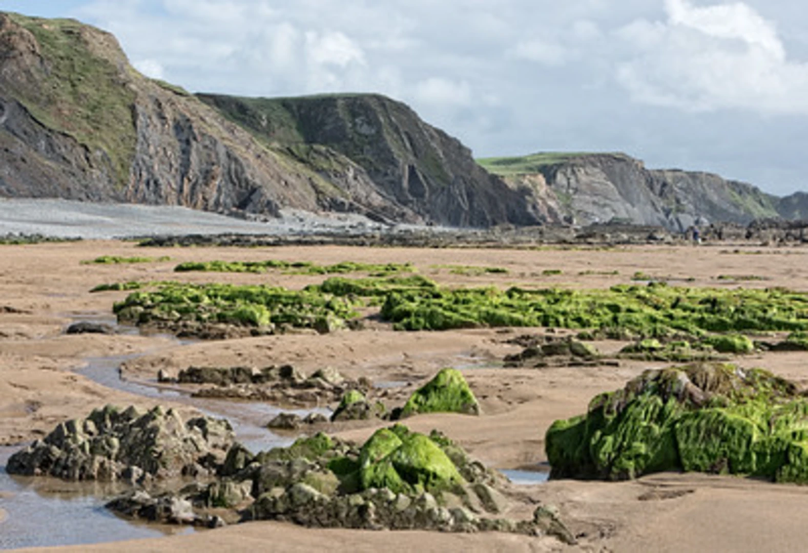 An image depicting the trail Sandy Mouth Beach to Summerleaze Beach Walk and its surrounding area.